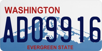 WA license plate ADO9916