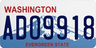 WA license plate ADO9918