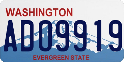 WA license plate ADO9919