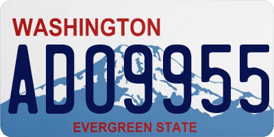 WA license plate ADO9955