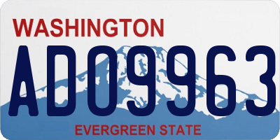 WA license plate ADO9963