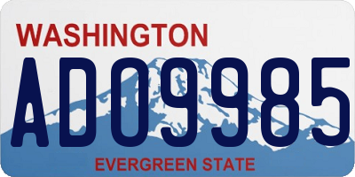 WA license plate ADO9985