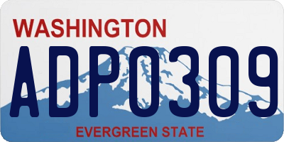 WA license plate ADP0309