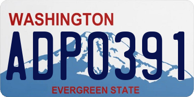 WA license plate ADP0391