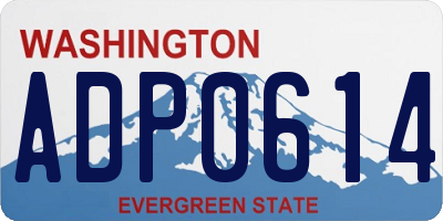 WA license plate ADP0614