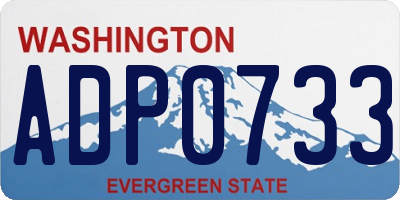 WA license plate ADP0733