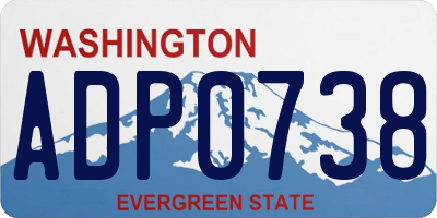 WA license plate ADP0738