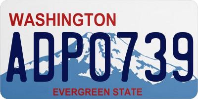 WA license plate ADP0739
