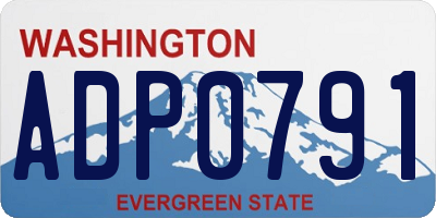 WA license plate ADP0791