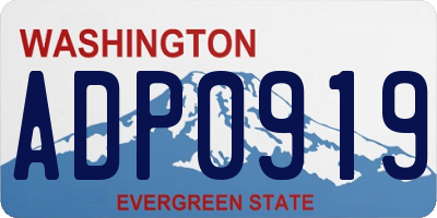 WA license plate ADP0919