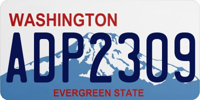 WA license plate ADP2309