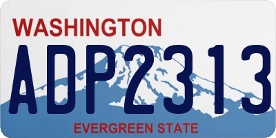 WA license plate ADP2313
