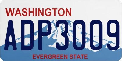 WA license plate ADP3009