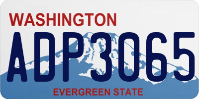 WA license plate ADP3065