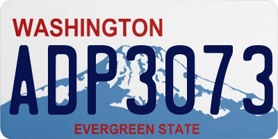 WA license plate ADP3073