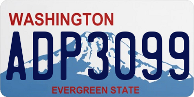 WA license plate ADP3099