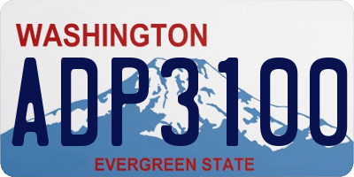WA license plate ADP3100