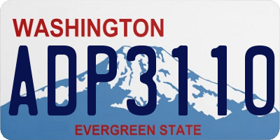 WA license plate ADP3110
