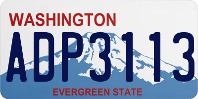 WA license plate ADP3113