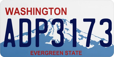 WA license plate ADP3173