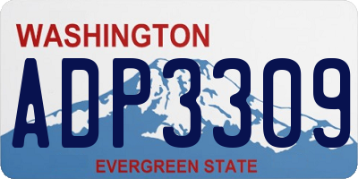 WA license plate ADP3309