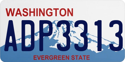 WA license plate ADP3313