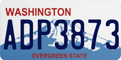 WA license plate ADP3873