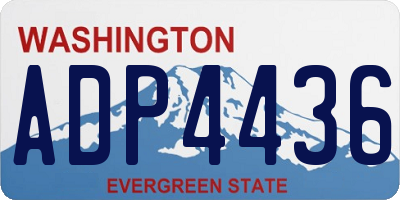 WA license plate ADP4436