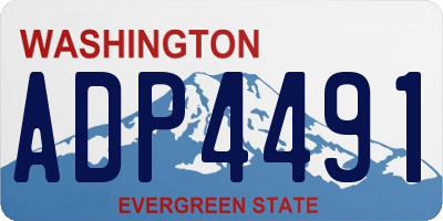 WA license plate ADP4491