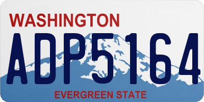 WA license plate ADP5164