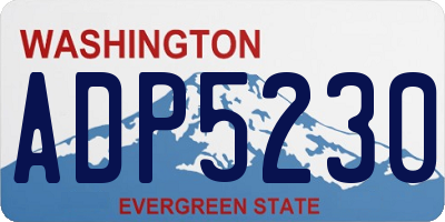 WA license plate ADP5230
