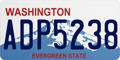 WA license plate ADP5238