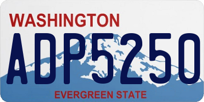 WA license plate ADP5250