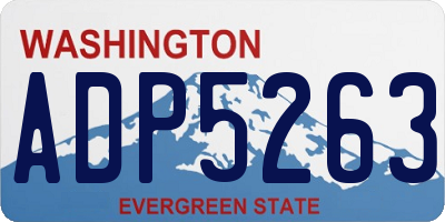 WA license plate ADP5263