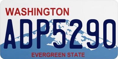 WA license plate ADP5290