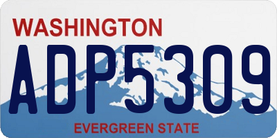 WA license plate ADP5309