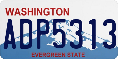 WA license plate ADP5313
