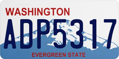 WA license plate ADP5317