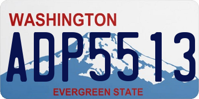 WA license plate ADP5513