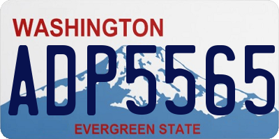 WA license plate ADP5565
