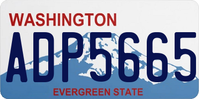 WA license plate ADP5665