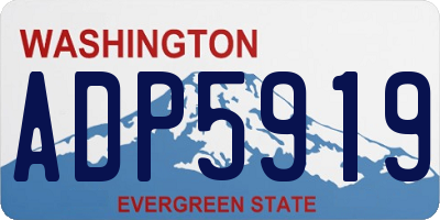 WA license plate ADP5919