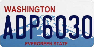 WA license plate ADP6030