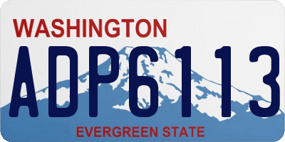 WA license plate ADP6113
