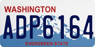 WA license plate ADP6164