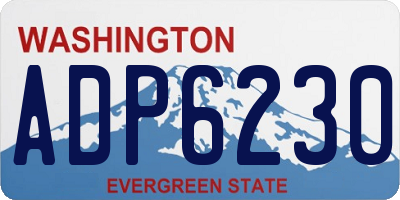 WA license plate ADP6230