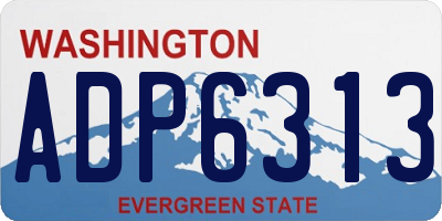 WA license plate ADP6313