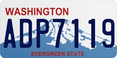 WA license plate ADP7119