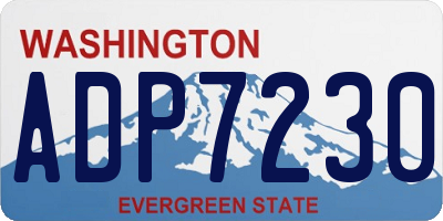 WA license plate ADP7230