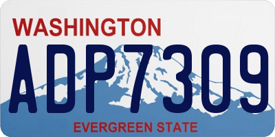 WA license plate ADP7309